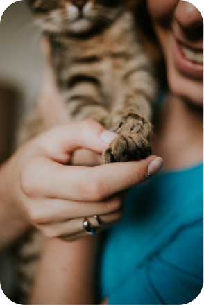 cat-image-1